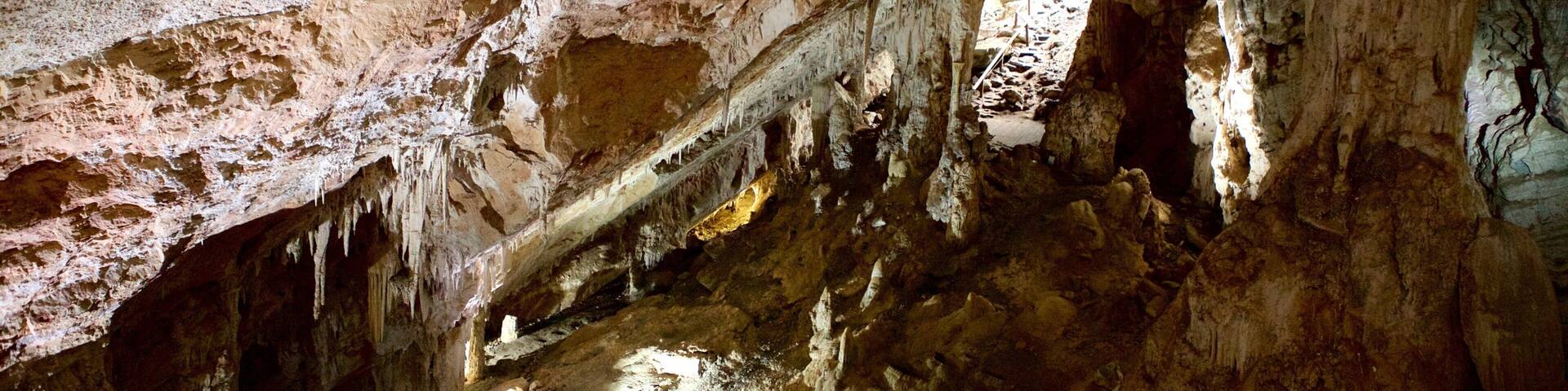 Sao Miguel Cave showing caves