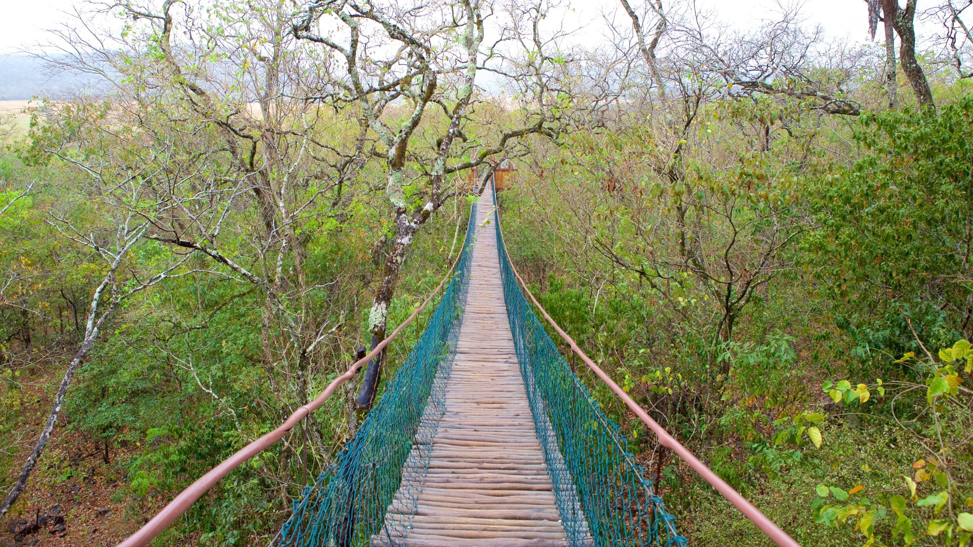 Grotte de São Miguel mettant en vedette passerelle ou pont suspendu
