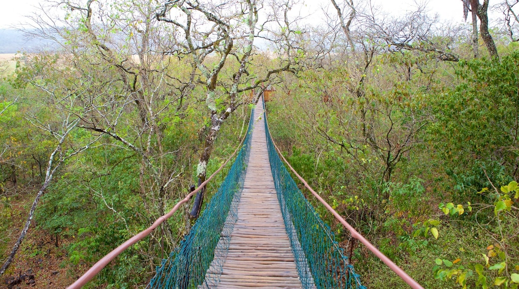Grotte de SĂŁo Miguel mettant en vedette passerelle ou pont suspendu