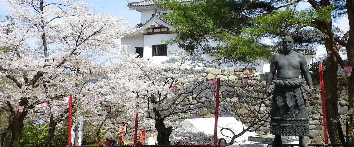 A traditional Japanese building with a pagoda, cherry blossom trees, and a statue.
