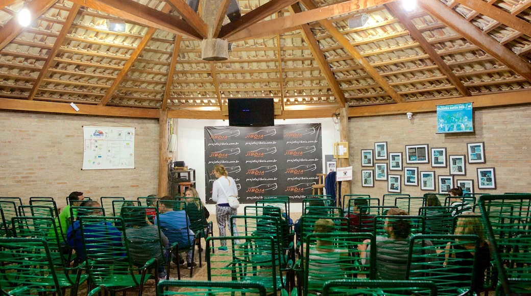 Jiboia Project which includes interior views