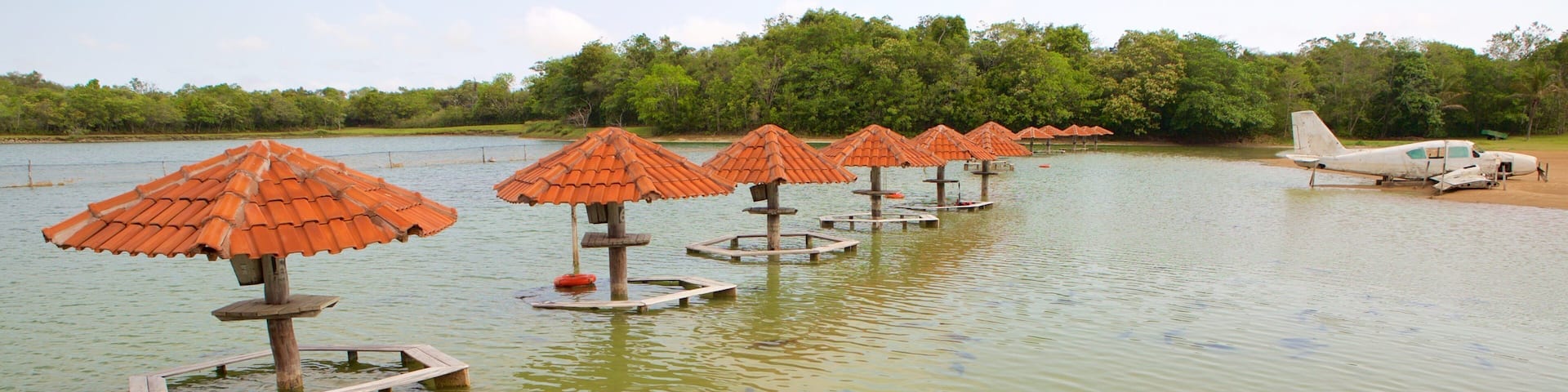 Figueira Beach showing a beach and marine life