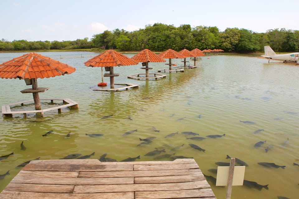 Un lago con plataformas de madera y sombrillas naranjas, un pequeño avión, y un bosque al fondo.