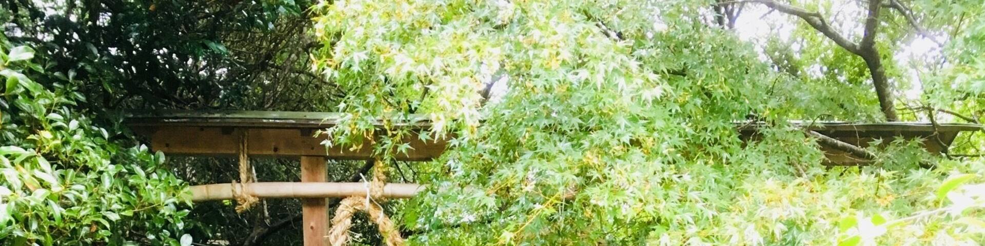 The entrance to the shrine is beautiful