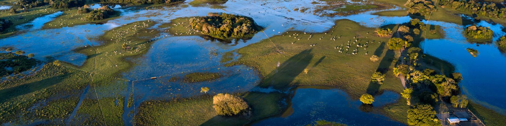 Pantanal photographed in Corumba, Mato Grosso do Sul. Pantanal Biome. Picture made in 2017.