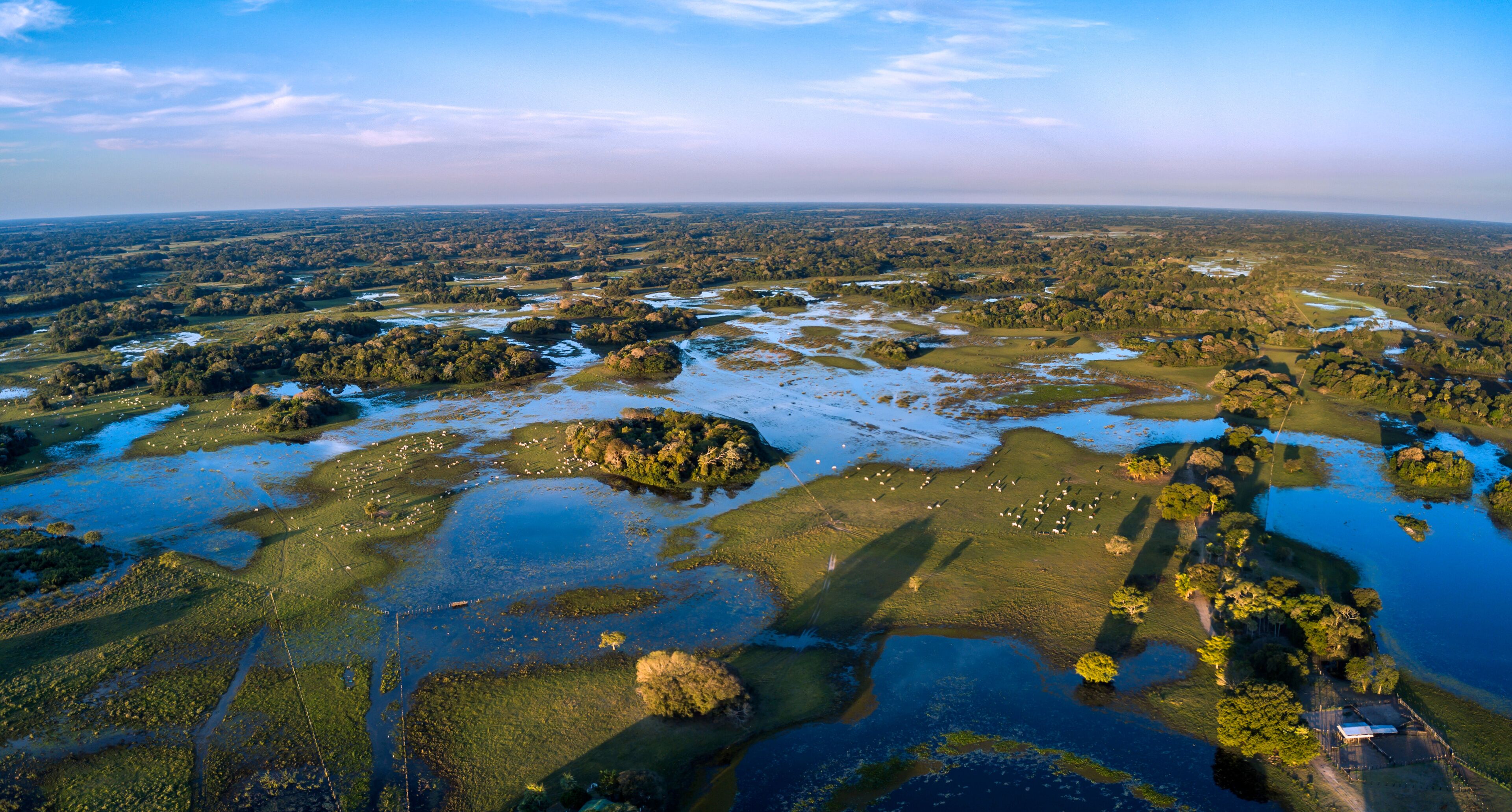 An aerial view of a wetland area with scattered water bodies, patches of trees, and a distant horizon.