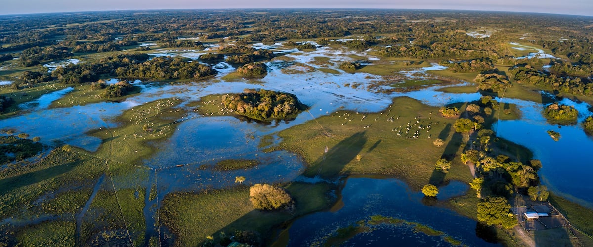 An aerial view of a wetland area with scattered water bodies, patches of trees, and a distant horizon.