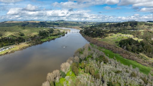Swamp land and the Waikato River, Tuakau, Waikato, New Zealand.