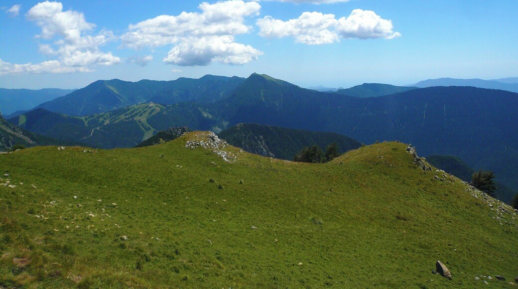 Near Millefonts Lake