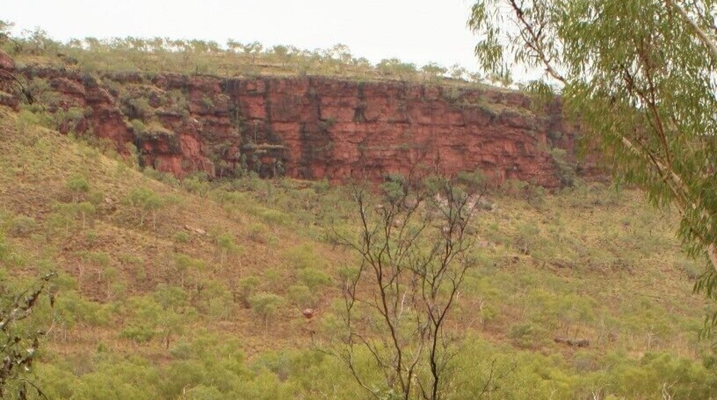 From the picnic area you can enter an awesome walk. It is not too long, so a perfect break on a long drive. You walk up to the escarpment walls, where you can see some Aboriginal rock art.