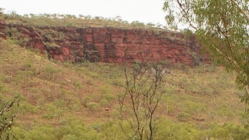 From the picnic area you can enter an awesome walk. It is not too long, so a perfect break on a long drive. You walk up to the escarpment walls, where you can see some Aboriginal rock art.