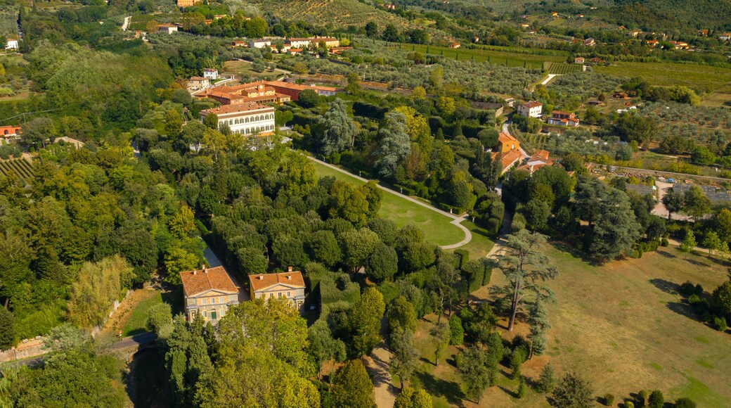 Castelfranco di Sotto