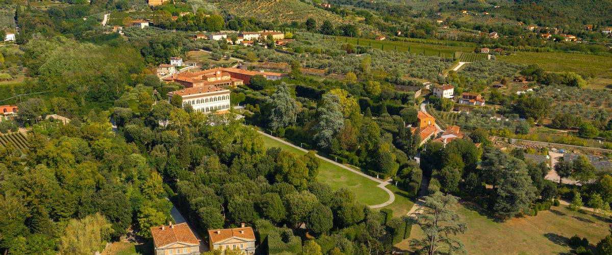 An aerial view of a lush, green landscape with a winding path, a large villa, and surrounding vineyards.