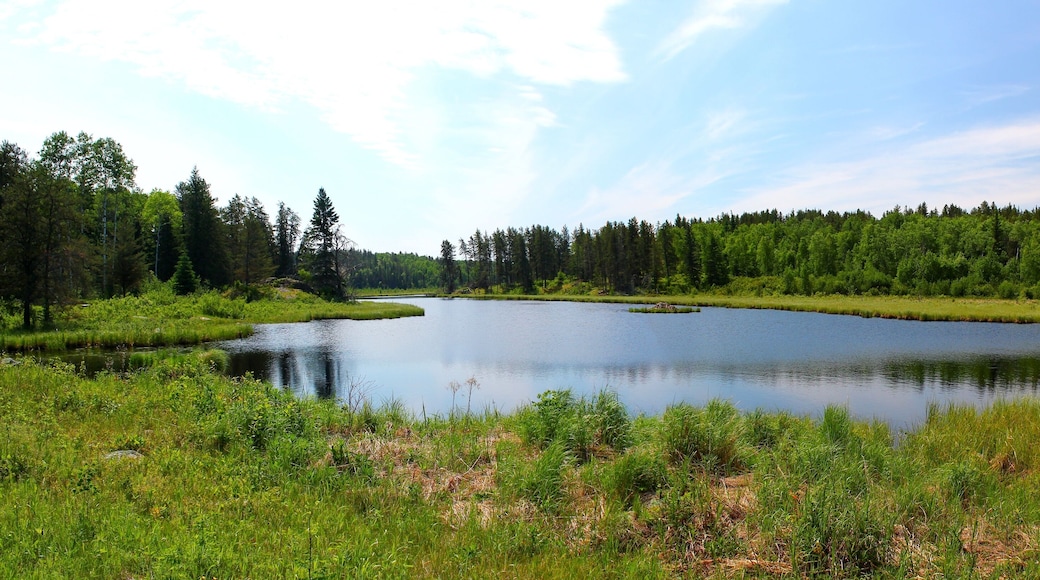 Whiteshell Provincial Park