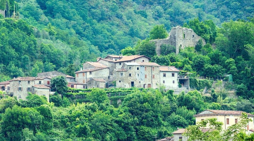 卡索拉伊恩盧尼賈納