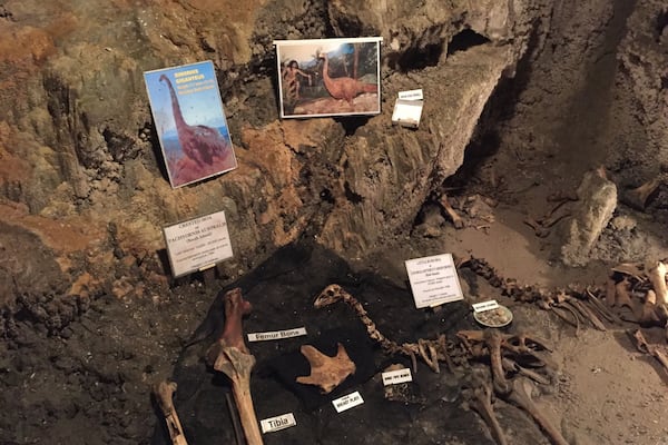 We took a tour through the Ngarua Caves which had Moa bones in them (an extinct flightless bird that was up to 100 ft tall). Was really cool to see