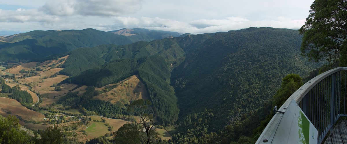A mountainous landscape with dense forests and a winding road.