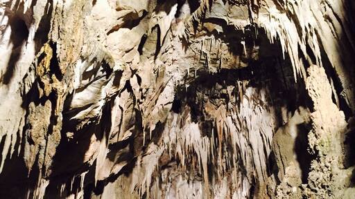 The Cathedral at the Ngarua Caves - stunning! We drove up there on a rainy day but imagine on a good day the views are amazing too.