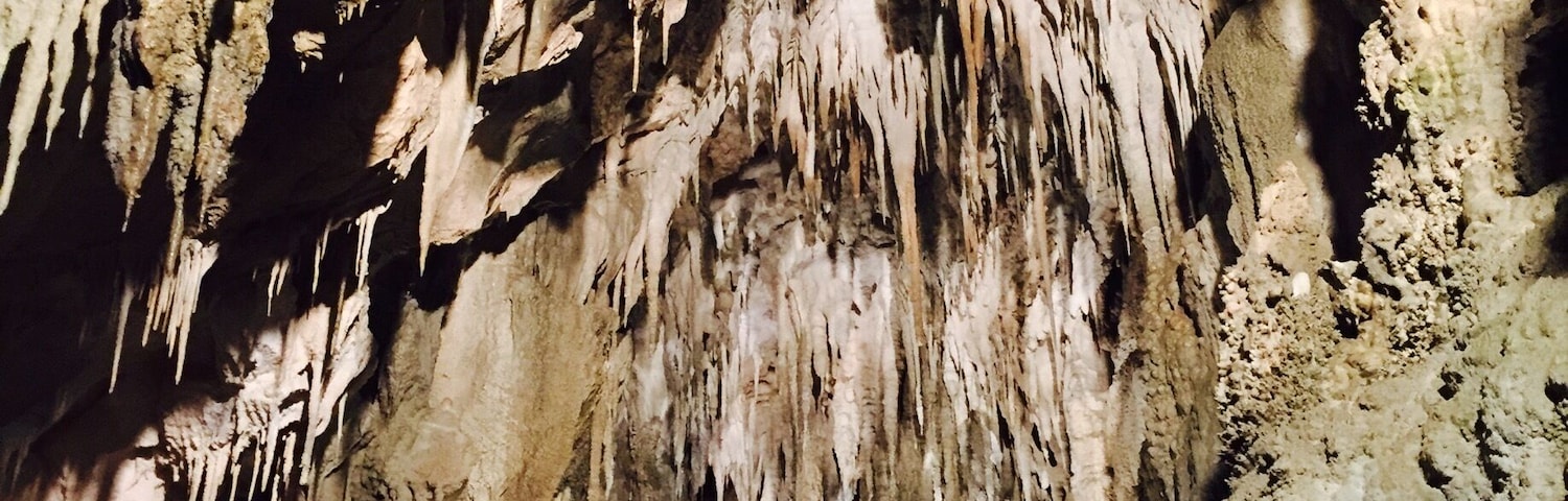 The Cathedral at the Ngarua Caves - stunning! We drove up there on a rainy day but imagine on a good day the views are amazing too.