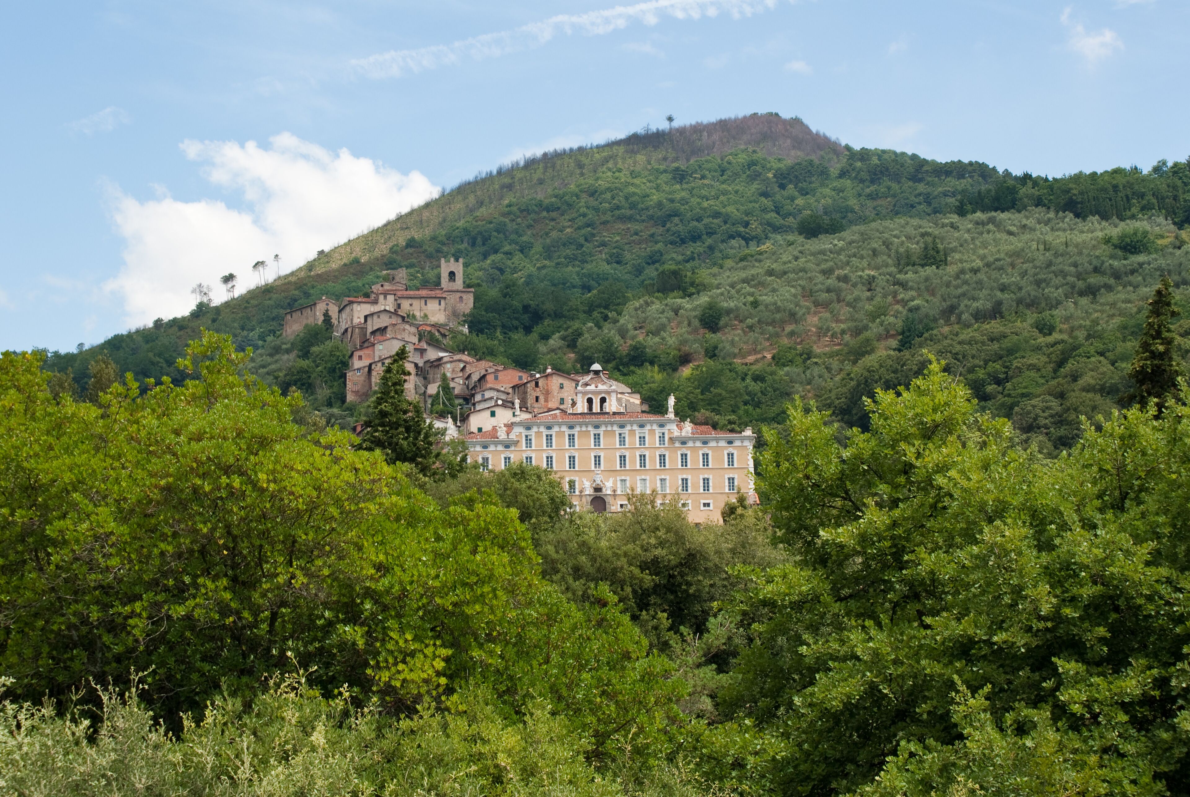 A historic building on a hill with lush greenery and a clear sky.