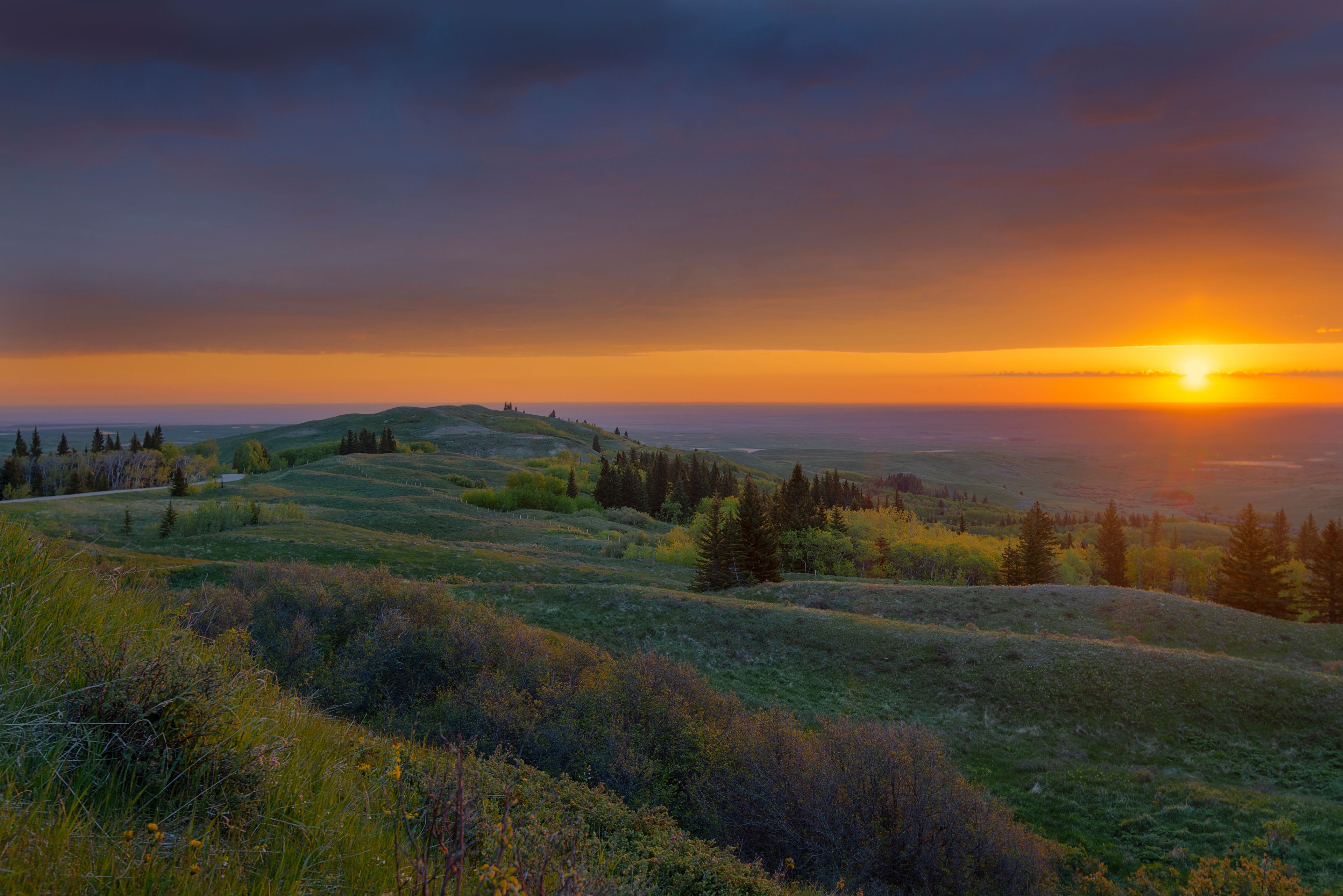 A sunset over rolling hills with sparse trees and a clear sky.