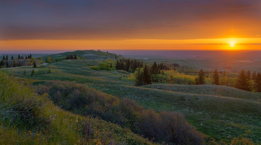 A sunset over rolling hills with sparse trees and a clear sky.