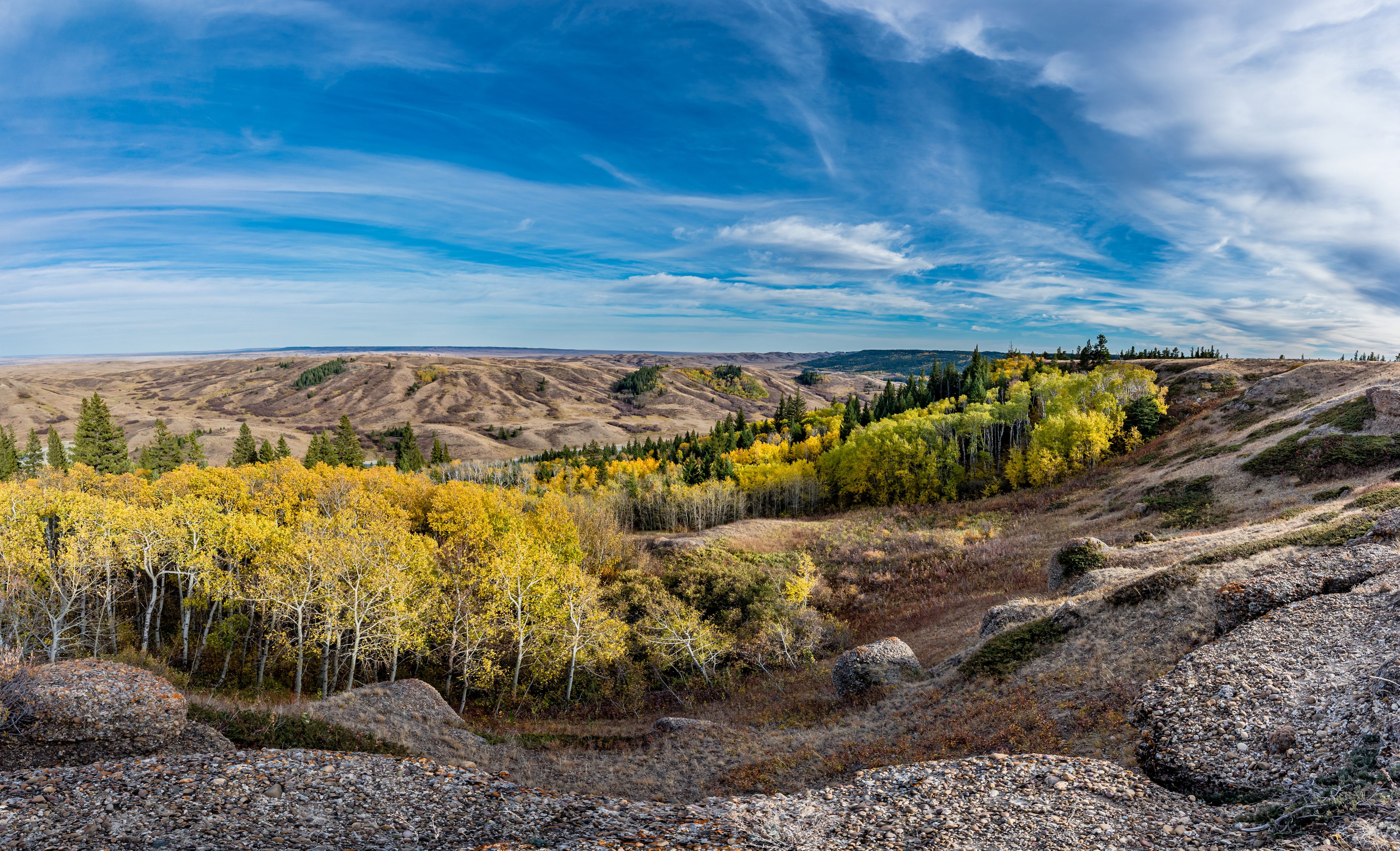 Cypress Hills Provincial Park