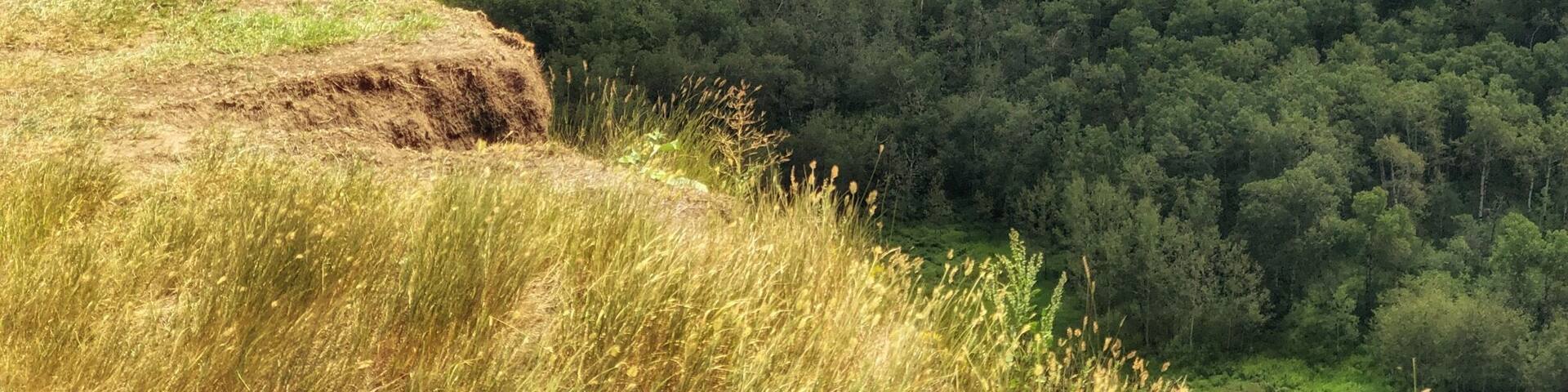 I loved travelling through the Alberta Badlands