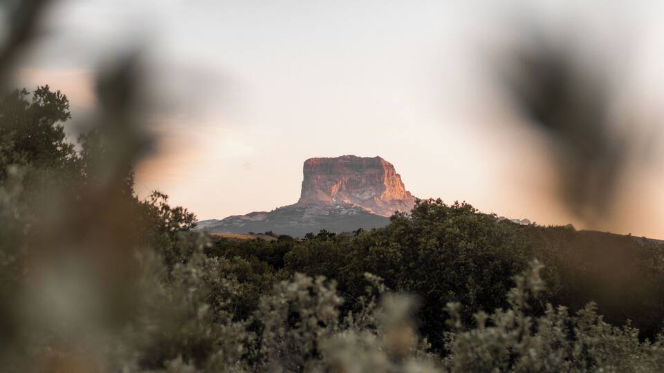 A mountain with a flat top, surrounded by dense vegetation.