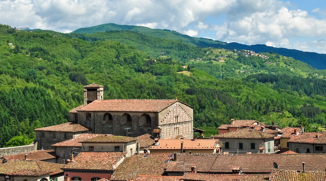 View of Castiglione di Garfagnana, a small town in Tuscany (Italy), with surrounding hills in background