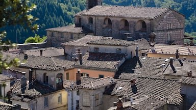 A historic town with terracotta-roofed buildings, a prominent church, and a forested hillside in the background.