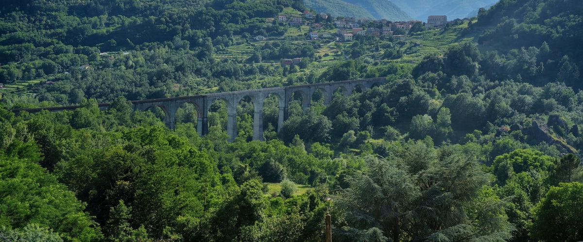 A valley with a bridge, lush greenery, and distant mountains.