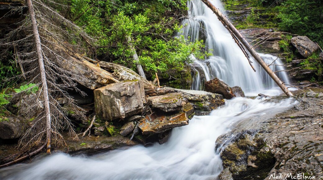 Cool little waterfall I stopped at while driving south on highway 97 in BC, Canada.
I don't have any ND Filters, but the light was low enough in the morning for me to get a long enough exposure to create the soft, cottony look of the water.
#HelloBC #ExploreBC #RandomRoadtrip #Travel #Waterfalls #LongExposure