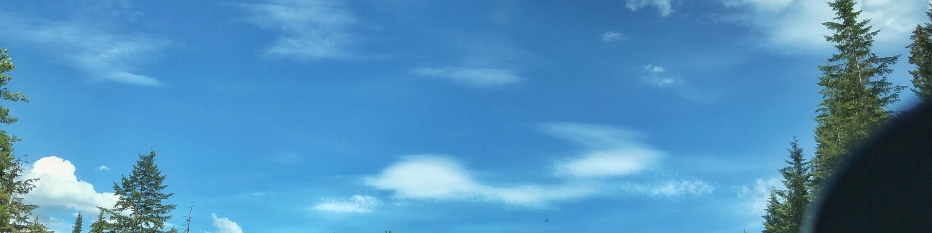 In the middle of nowhere... just cruising along the highway