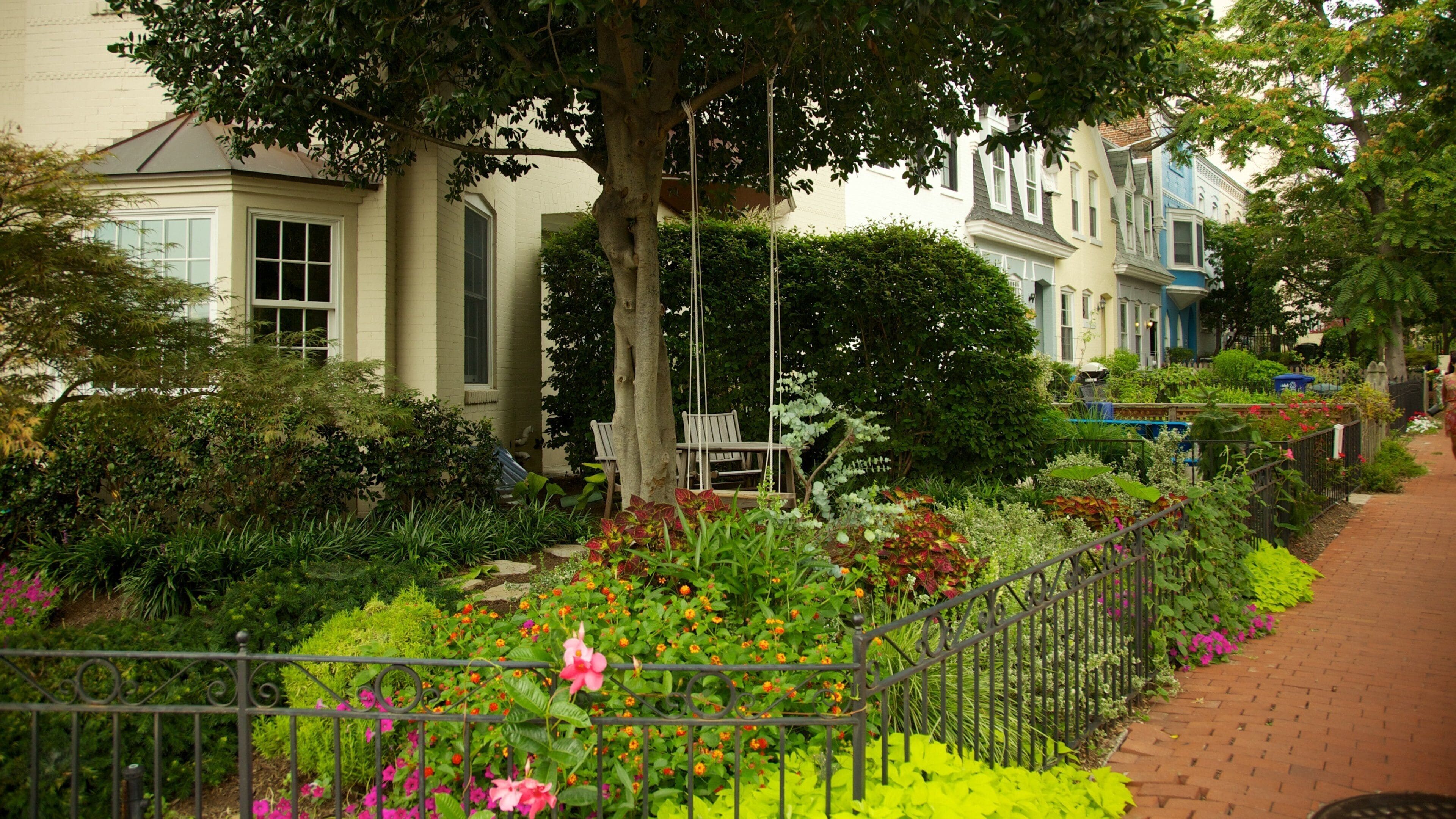 A row of historic houses with lush gardens and a swing set.