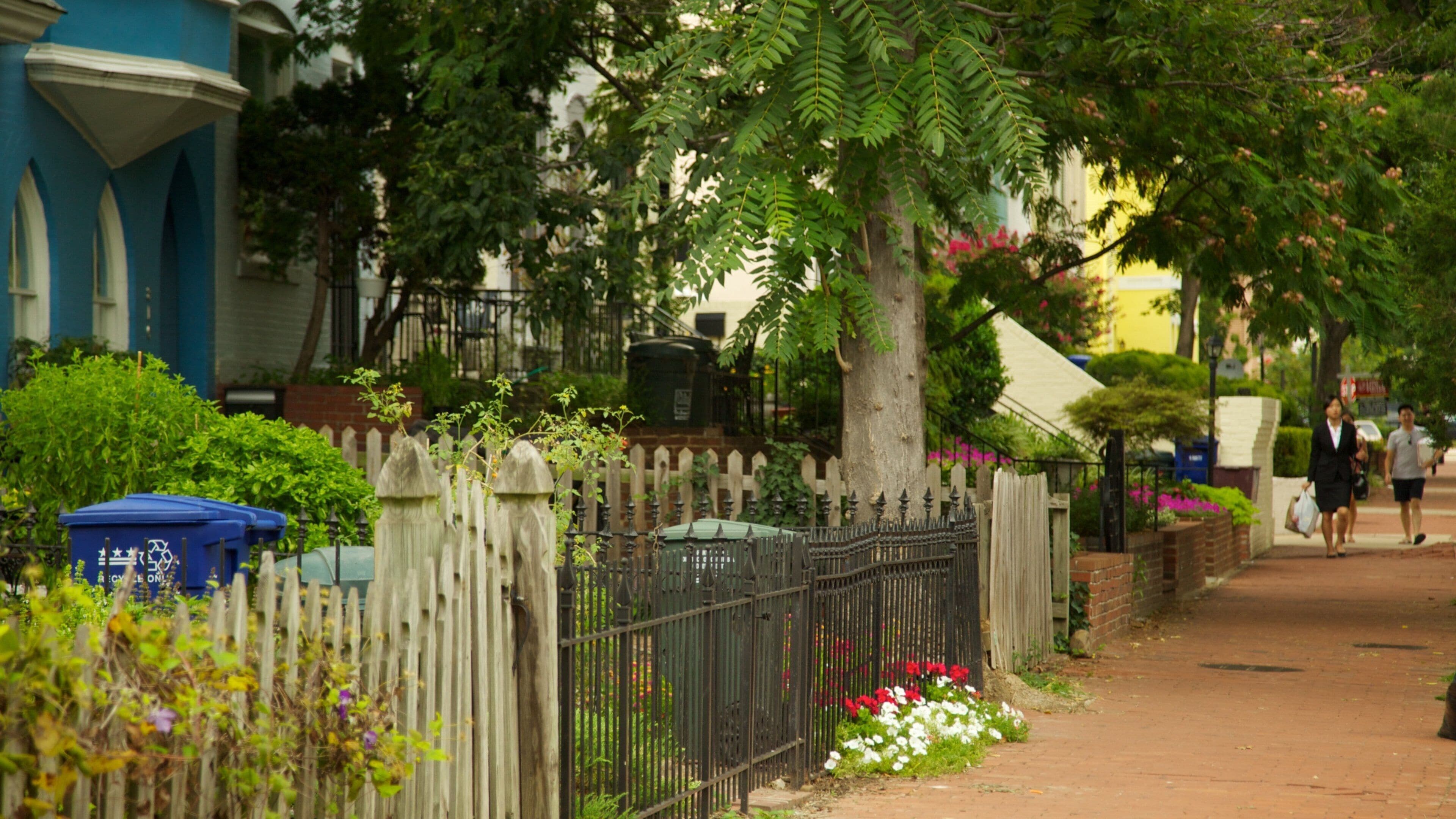 A residential street with a wooden fence, a tree, and a brick pathway.