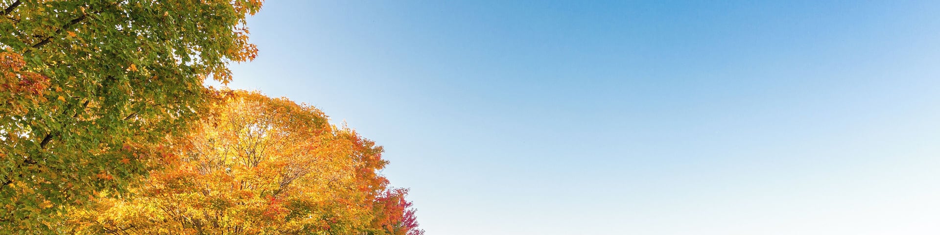 EyeEm Custom Shoots Q4 2018