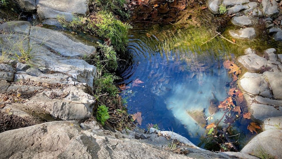 Pool of water reflecting blue sky and clouds, Santa Monica Mountains, Point Mugu State Park, California