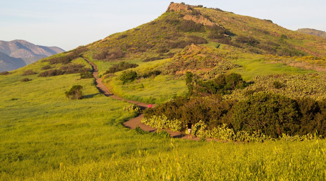 Hikers on winding trail through sunlit green hills and rocky terrain