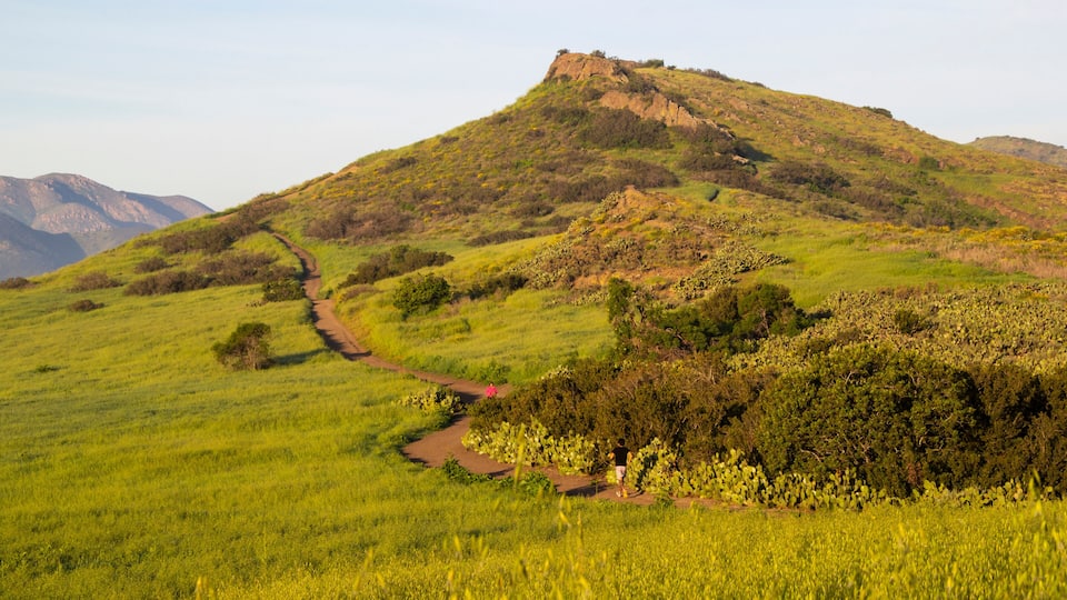 Hikers on winding trail through sunlit green hills and rocky terrain