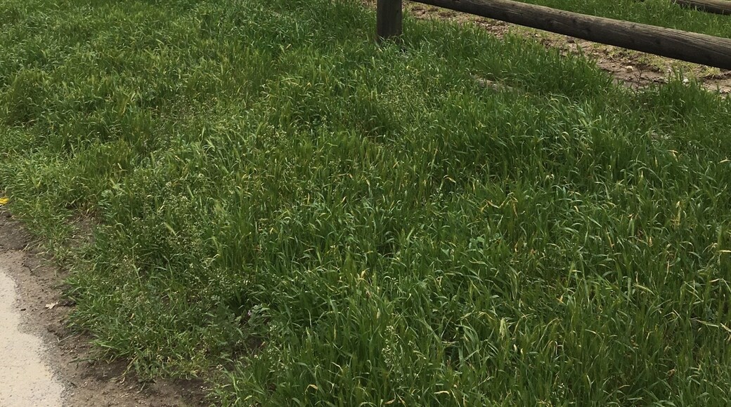 We took a hike here. It was beautiful!