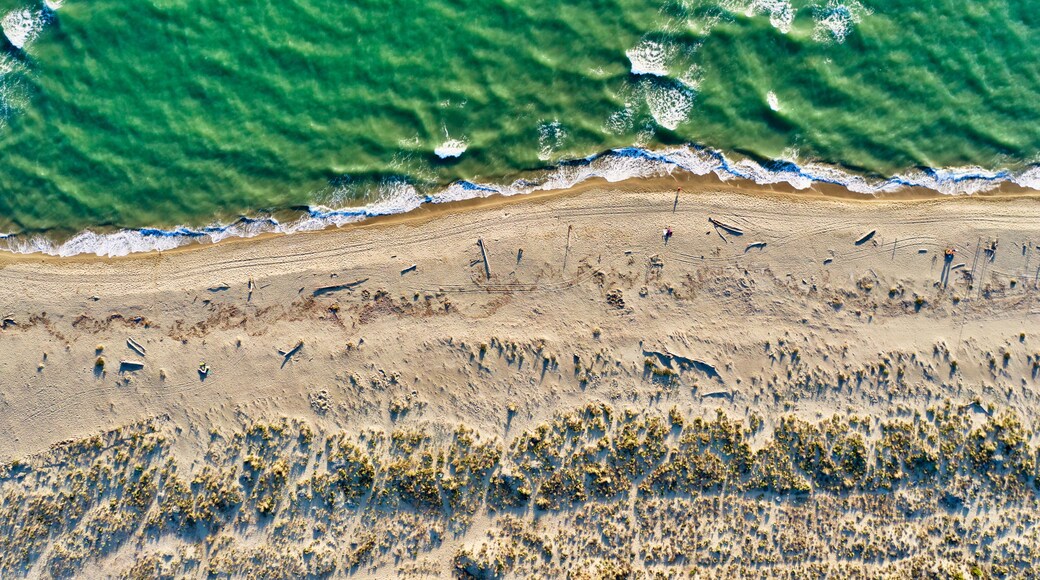 Torre del Lago Puccini