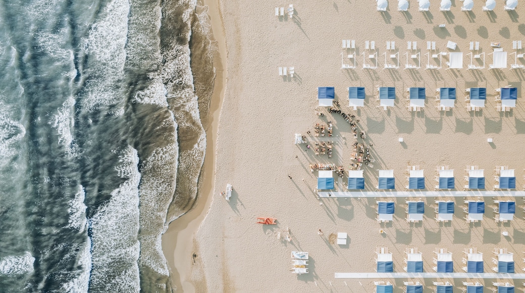 Vista aérea de uma praia com fileiras de espreguiçadeiras e algumas pessoas caminhando pela orla.