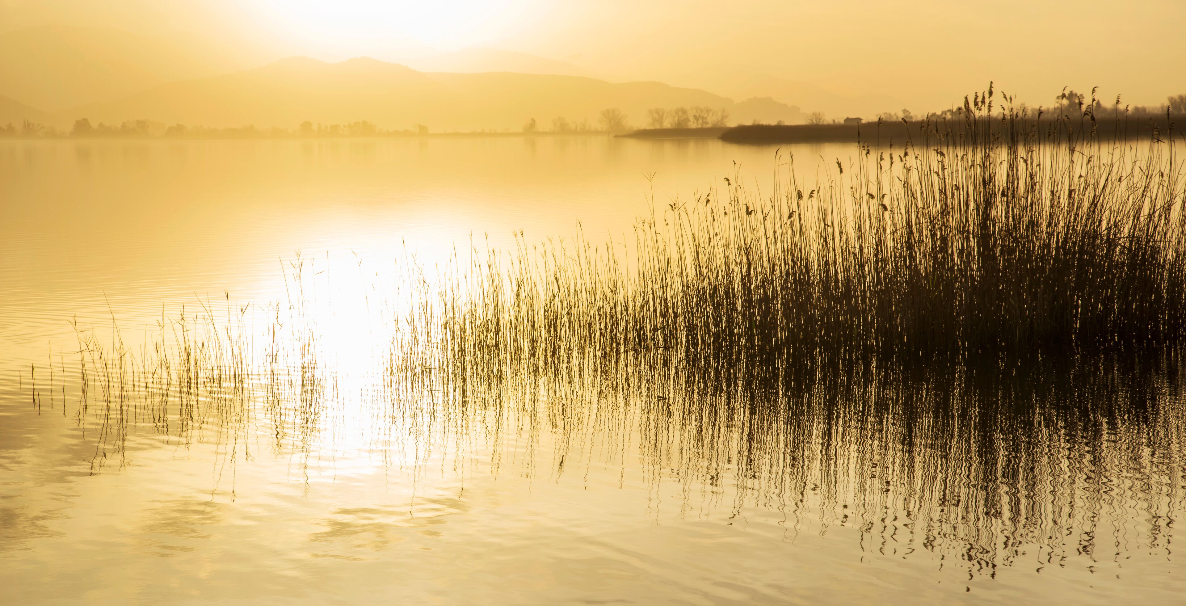 Torre del Lago Puccini
