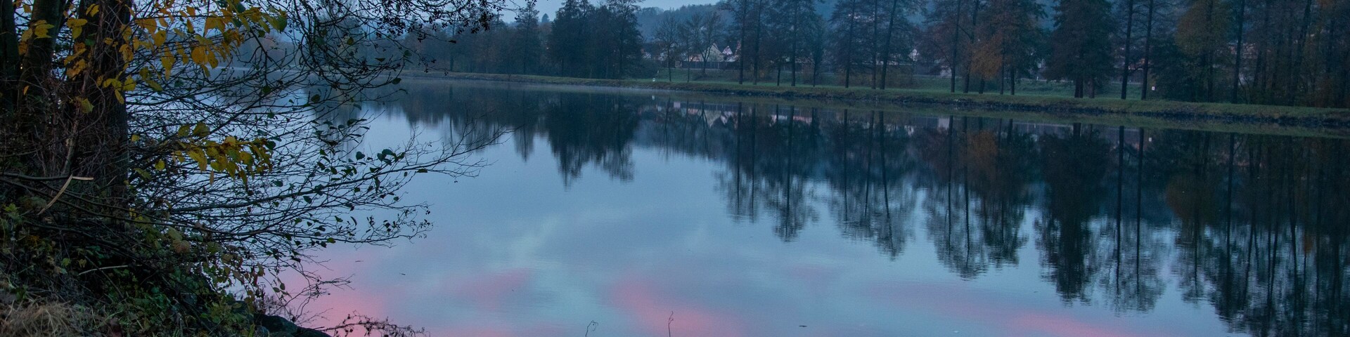 Un lago tranquilo con reflejos de árboles y un cielo rosado.