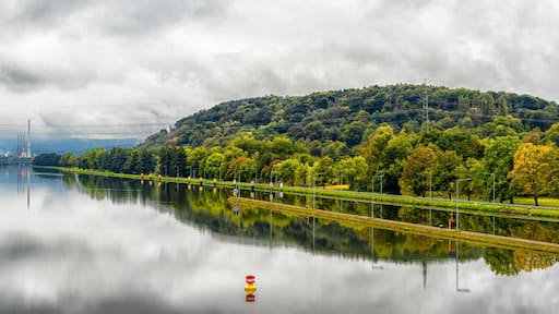 Main (river) near Großwallstadt