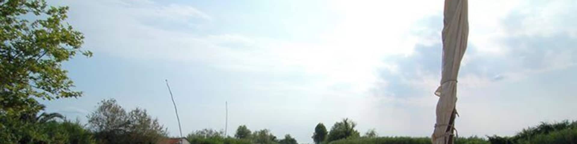 The nature reserve in Massaciuccoli is a great place for bird watching. You can walk for miles on the sturdy wood walkways. #Massaciuccoli #Massarosa #Italy #Tuscany #Europe #AquaTrove http://www.acooknotmad.com/2011/07/market-day-in-massarosa.html