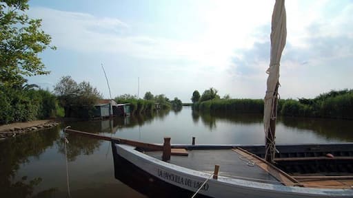 The nature reserve in Massaciuccoli is a great place for bird watching. You can walk for miles on the sturdy wood walkways. #Massaciuccoli #Massarosa #Italy #Tuscany #Europe #AquaTrove http://www.acooknotmad.com/2011/07/market-day-in-massarosa.html