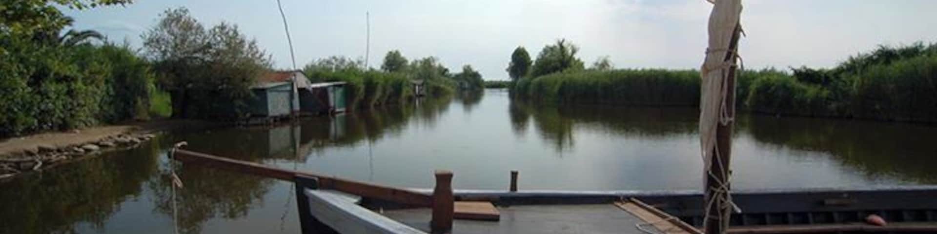 The nature reserve in Massaciuccoli is a great place for bird watching. You can walk for miles on the sturdy wood walkways. #Massaciuccoli #Massarosa #Italy #Tuscany #Europe #AquaTrove http://www.acooknotmad.com/2011/07/market-day-in-massarosa.html
