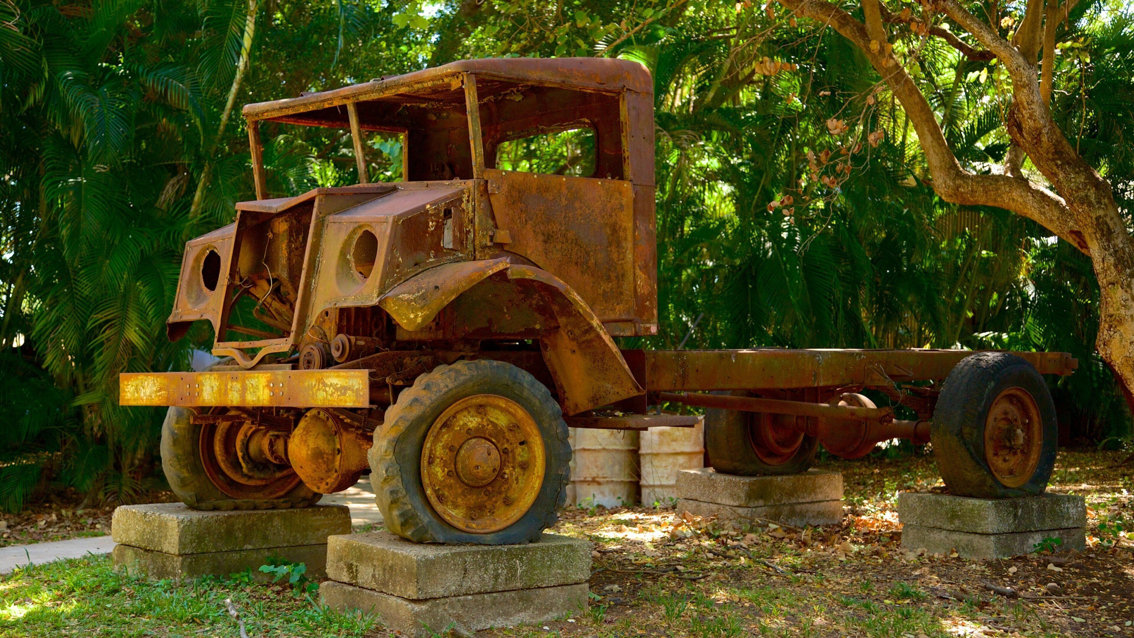 Defence Of Darwin Experience which includes a monument